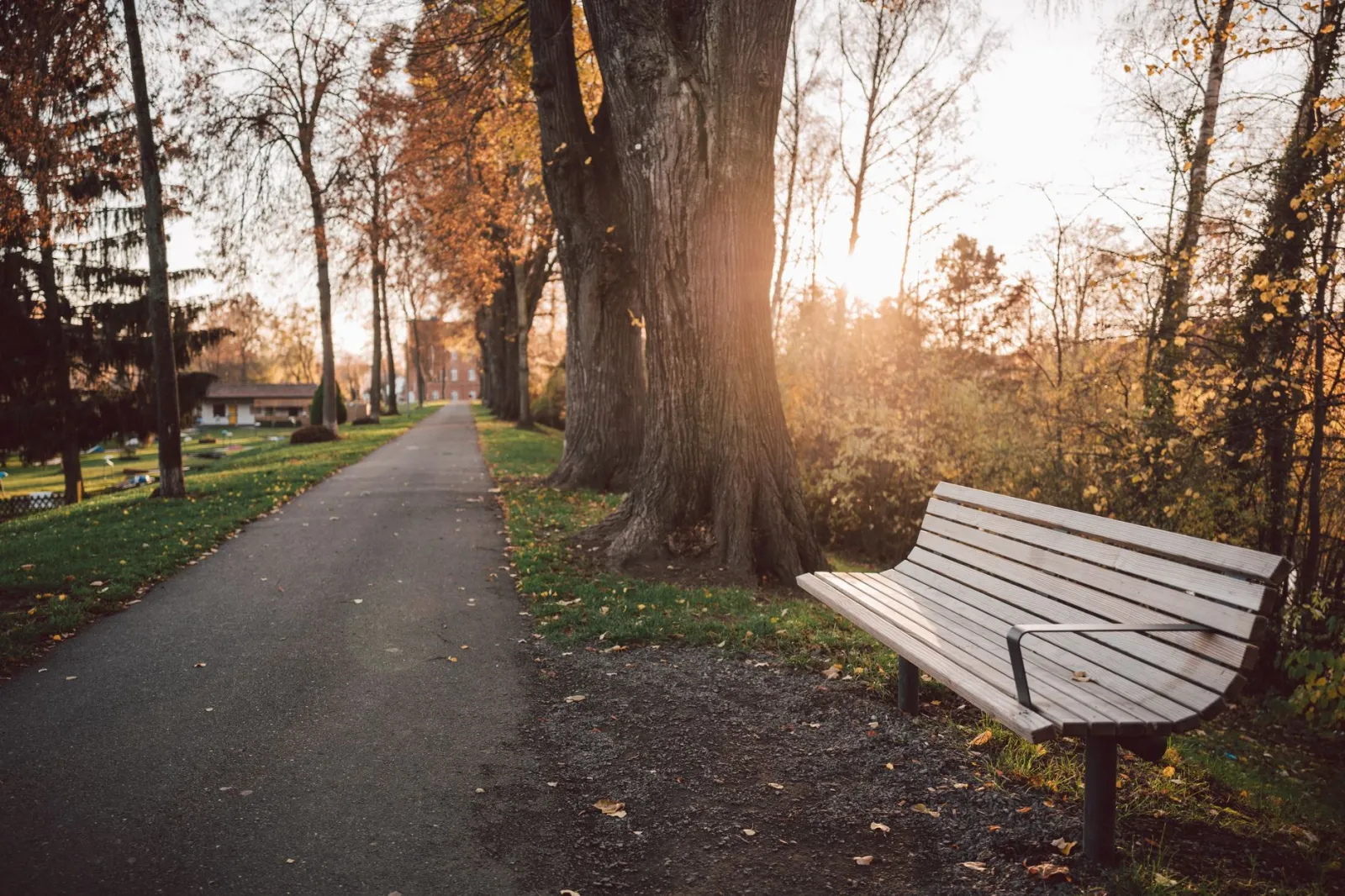 Serene autumn pathway in Einbeck with a wooden bench and sunlit trees.